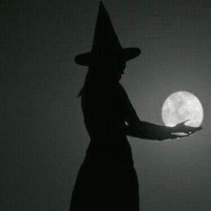 Meet your Posher, Sandy